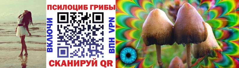 Псилоцибиновые грибы MAGIC MUSHROOMS  мориарти формула  Абинск  OMG ONION 